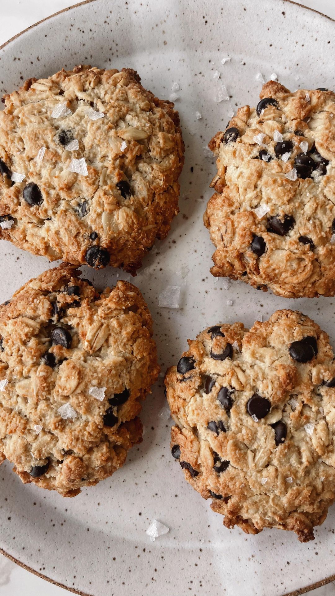 5 Minute Oatmeal Chocolate Chip Cookies